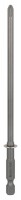 Bosch Autofeed Bit PZ2 MA55