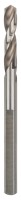 Bosch Pilot drill bit HSSG (81mm) for SDS (1/4\" 6.35mm) and Hex Shank Arbour (9.5mm)  Suitable with Standard Arbours (fo